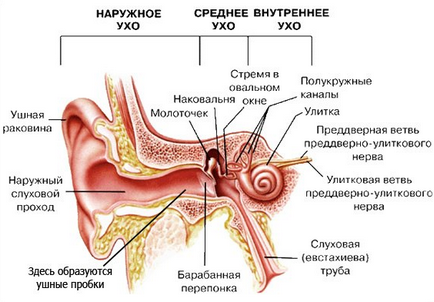 Отит у дітей симптоми і лікування, фото запалення