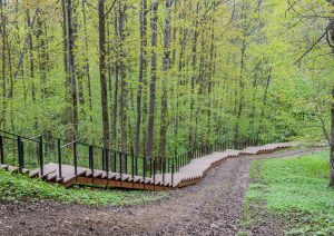 monument al naturii „Duderhof Heights“ - managementul MAS“ariilor protejate