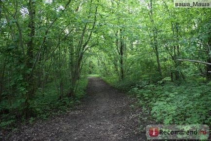 Monumentul naturii Dudergofskie înălțimi, Sankt-Petersburg - 