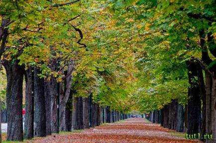 Parcul Prater din Viena