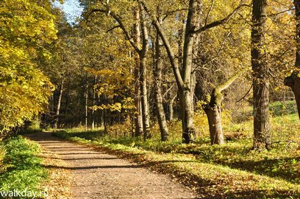 Park - Sergievka, walkday