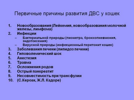 Первинні причини розвитку ДВС у кішок - презентація 213929-24