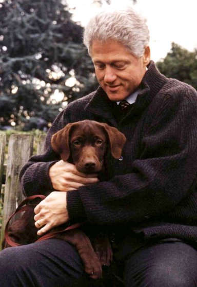 Перші собаки сша домашні улюбленці американських президентів від Гардінга до Обами, чорт забирай