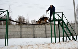 Розплідник собак в Твері, белль де ровеаль