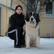 Племінний розплідник товариські перлина, головна