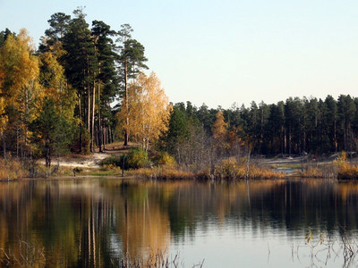 Чому дерева старше 150-200 років зустрічаються тільки під - культурним - шаром