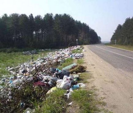 Чому не можна збирати гриби вздовж автодоріг, повідомлення 2017 рік