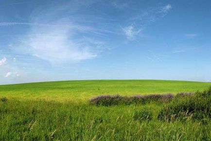 Ásványiforrás Vologda régió (hasznos) Ásványiforrás Vologda régió