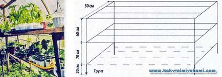 A polcok az üvegházban a kezüket - 2. lehetőség a kezében -, hogyan lehet a legjobban