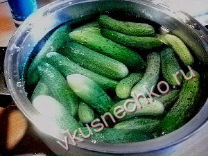 Покроковий рецепт огірки мариновані з оцтом з фото, як приготувати з інгредієнтів огірки