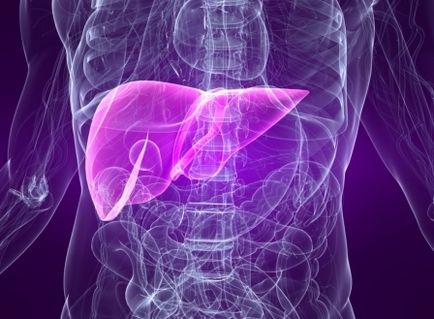 Consecințele hepatitei și ale metodei de tratament cu tianshi, biorrecția hepatitei cu tianshi