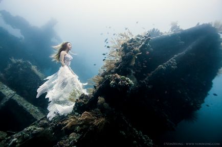 Fotografiere uimitoare subacvatice