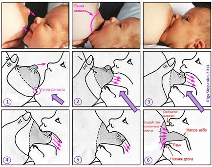 Правильне прикладання - це як годуємо грудьми своїх малюків!