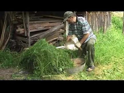 Pregătirea compostului din iarbă