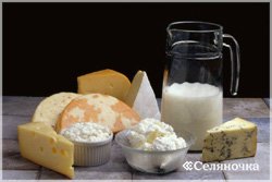 Приготування в домашніх умовах кисломолочних продуктів і масла - Селяночка - портал для