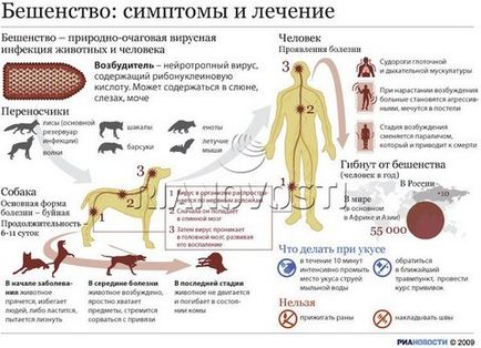 Prevenirea rabiei - administrarea Sankt Petersburg