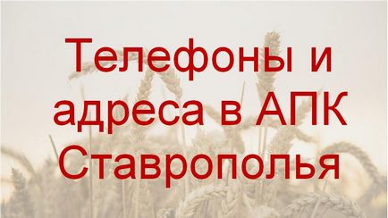 Виробникам зерна пора ставати головними гравцями на ринку