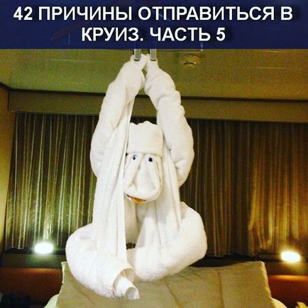 Подорожі як стиль життя @golden_incruises instagram profile, photos - videos • gramosphere