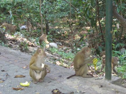 Orașul Phuket este cel mai important oraș din Phuket