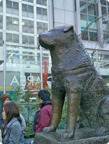 Poveste reală cu o fotografie reală japoneză de câine hachiko c