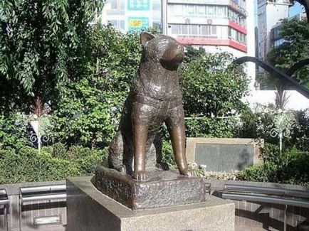 Poveste reală cu o fotografie reală japoneză de câine hachiko c