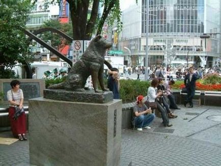 Poveste reală cu o fotografie reală japoneză de câine hachiko c