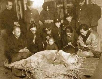 Poveste reală cu o fotografie reală japoneză de câine hachiko c