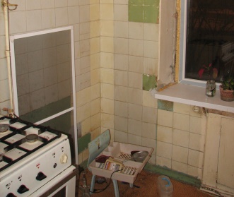 Repararea apartamentelor în aprelevka și selyatino