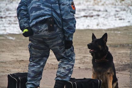 Репортаж особливого призначення це цікаво!