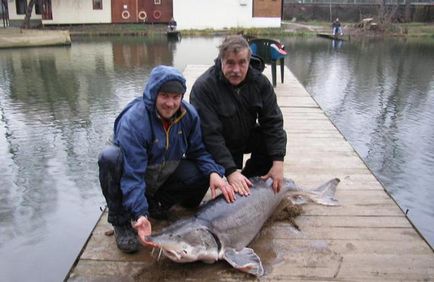 Fishermans Village descriere și fotografie wvz