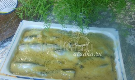 Olajban olajjal recept fényképpel (hal) Olajban olajjal recept egy fotó