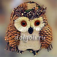 Rucsacul owl pentru tineret