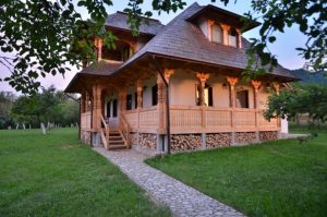 Садові доріжки своїми руками - 96 фото ексклюзивних ідей з підручних засобів