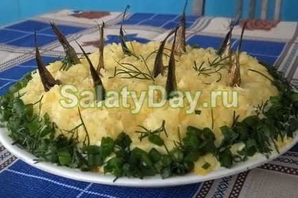 Saláta alatt bunda - megnyugtató megoldást! Recept képek és videó