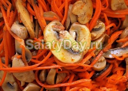 Salata cu morcovi coreeni - rețete picante și vitamine cu fotografii și videoclipuri