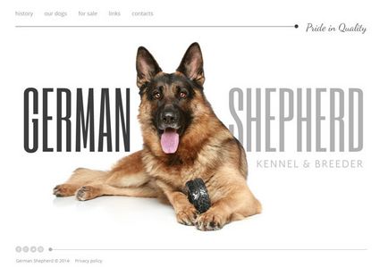 Site pentru crescătorii de câini simple sfaturi pentru crearea - motocms blog