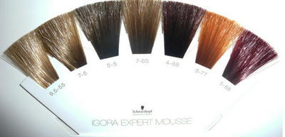 Schwarzkopf professzionális színezés mousse Igora szakértő mousse