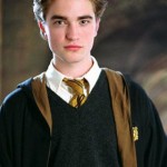 Cedric Diggory, Harry Potter