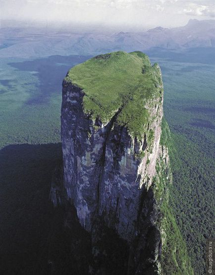 Sequoia este cel mai mare copac de pe pământ, cu numele unei persoane