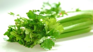 Celery Dieta Recenzii, Meniu
