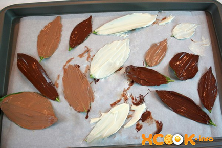 Frunze de ciocolată
