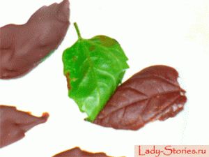 Frunze de ciocolată - rețetă pentru fabricarea frunzelor de ciocolată