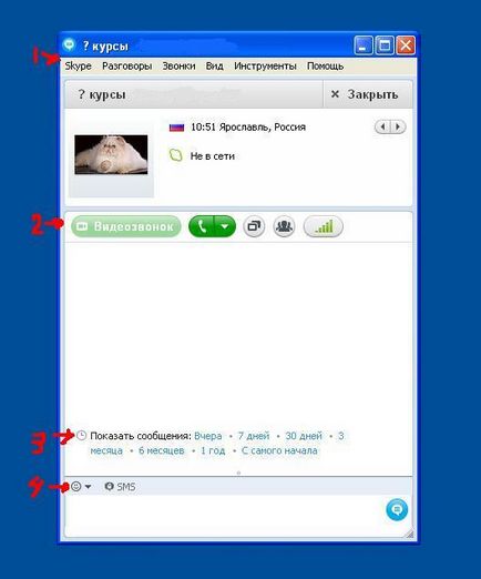 Skype - ce este și cum se instalează