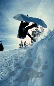 Selecția de snowboard a panoului pentru patinaj