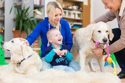 Câini pentru copii cu autism - articole de casă, alegere, îngrijire și educație, un director de companii,
