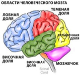 Herniile cerebrospinale (disc herniated), tratamentul în Israel