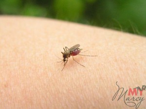Засіб від комарів для немовлят