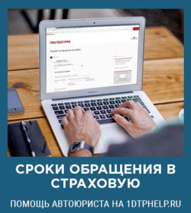 Терміни виплати осаго при дтп для страховика, розмір виплат