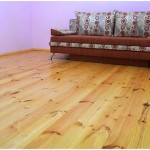 Șapă pe podea din lemn - caracteristici, tipuri și metode de șapă din beton și uscat peste sau în locul lui