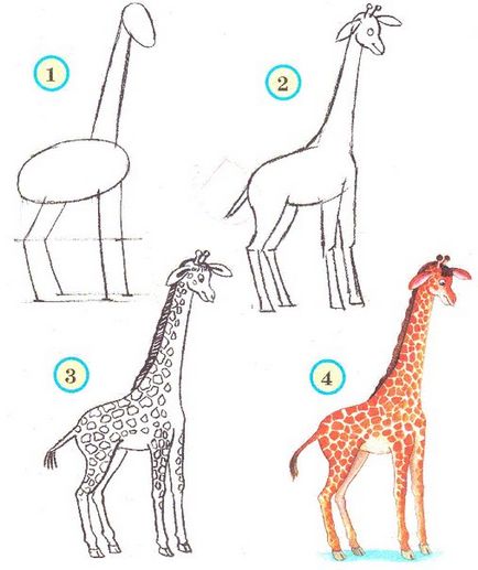 Scheme de tragere a versurilor de vizibilitate a animalelor, lecții de creativitate